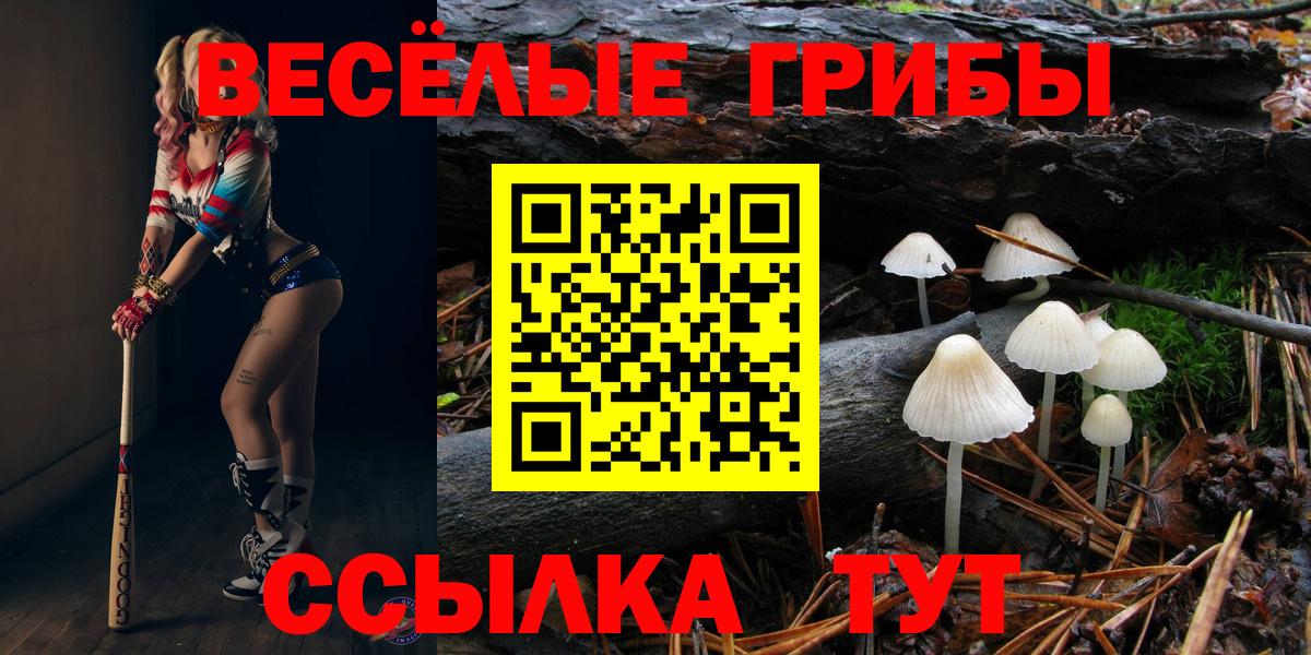 Галлюциногенные грибы прущие грибы Смоленск